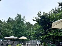 -那家山城(樱桃园店)