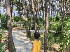 -养马岛旅游度假区