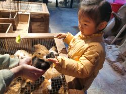 -酷嗒动物文化乐园(cutezoo西溪乐天城店)