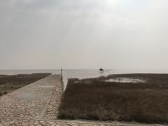 -南汇嘴观海公园