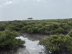 -北海金海湾红树林生态旅游区
