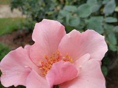 -人民公园(罗湖区)