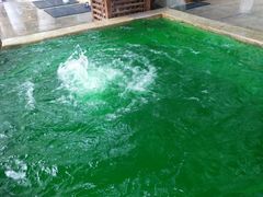 -春晖园度假酒店温泉