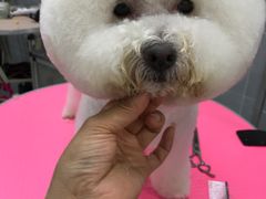 -宠福鑫康馨动物医院·骨科·眼科