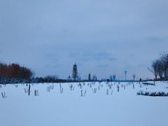 -北龙湖湿地公园