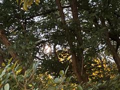 -青岛中山公园-索道售票处