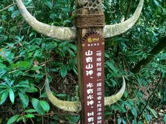 -西双版纳基诺山寨