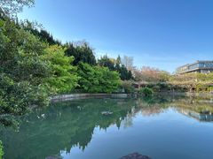 -嘉定紫藤园