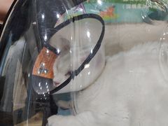 -芭比堂动物医院·24小时·眼科中心(深圳中心)