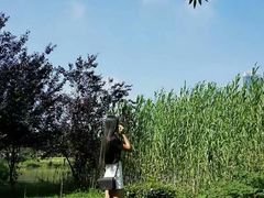 -艾溪湖湿地公园