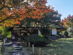 -名古屋城