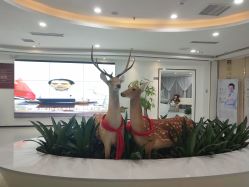 大厅环境-润泽瑞尼丝医疗美容医院