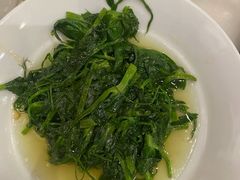 清炒豌豆尖-鸭匠食府·挂炉烤鸭·新京菜(阜成路店)