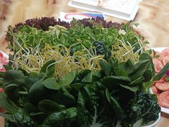 -清真军邺·金富苑肥牛(石坡街旗舰店)