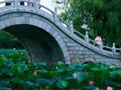 -长春市南湖公园