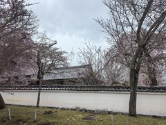-醍醐寺