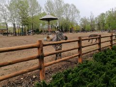 -大连森林动物园