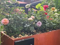 -三嚥阁 La Villa Restaurant