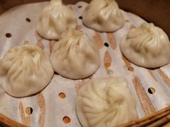 鲜肉小笼-苏小柳手工点心(人民广场分院)