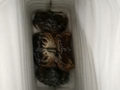 -乡乐园蟹庄·阳澄湖农家乐