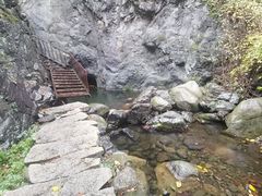 -云岫谷游猎自然风景区