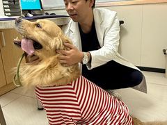 -美联众合动物医院·24h京西诊疗中心