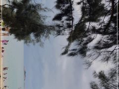 -马銮湾景区