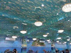 -小海豚•老字号海鲜餐厅(天涯店)