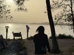 -东湖落雁景区