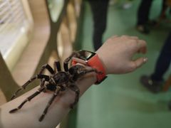 -藦茜花园宠物主题亲子互动体验馆(国顺东路店)