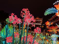 -豫园