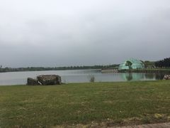 -上海都市菜园