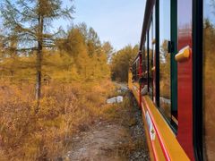 -莫尔道嘎国家森林公园