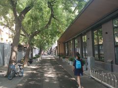 -护国寺小吃(东四店)
