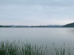 -东湖落雁景区