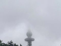 -青岛电视塔
