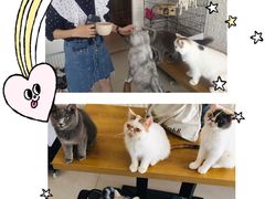 -平行世界·猫咖(首经贸店)
