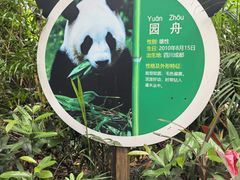 -深圳野生动物园