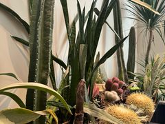 -J Create城市露营咖啡·简餐·宠物(上海动物园店)