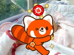 -天鹅到家·保姆月嫂育儿嫂(天河店)