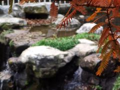 -白水寺森林公园