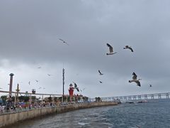 -星海广场