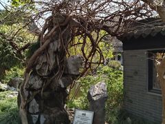 -梅园