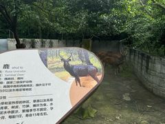 -成都动物园