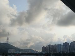 -野狸岛