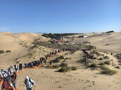 -恩格贝生态旅游区