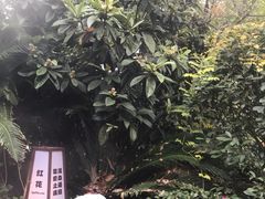 -杭州第一世界大酒店·云曼温泉