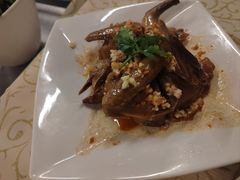 -百利鸽王(紫薇路店)