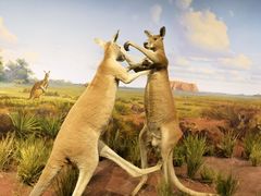 -陕西自然博物馆