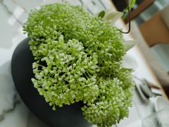 -大舜国风· 和牛火锅(绮霞街店)